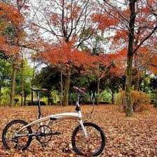 いいね 14件 コメント0件 さだ aw sadax のinstagramアカウント 紅葉 自転車 小径車 ミニベロ 折りたたみ 自転車 ポタリング 自転車のある風景 チャリでブー スマホ越しの私の世界 bicycle miniv country roads road bicycle