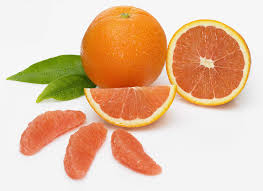 Guide To Types Of Winter Orange And Tangerines