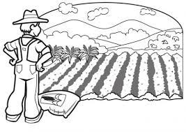 24 de junio, san juan! Dibujo Del Campesino Para Colorear Celebra El Dia Del Campesino 24 De Junio Netjoven