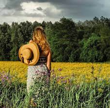 Summer Showers Have Been Good To Our Flowers Ohiofindithere Flowers Instagram Ohio