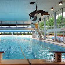 Saison 2o17 2o18 Piscine Municipale Villeneuve La Garenne Pdf Free Download