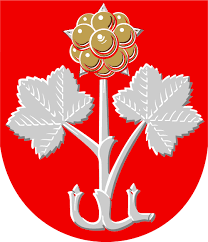 Pin On Municipal Symbols Finland