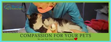 2,219 banfield pet hospital veterinary receptionist jobs. Pet Care Veterinary Hospital Home Facebook