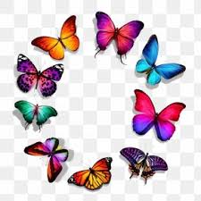With these butterfly png images you can explore in this category and download free butterfly png transparent images for your design flashlight. Beautiful Butterflies Images Beautiful Butterflies Transparent Png Free Download