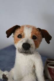 We did not find results for: Jack Russell Terriers On Tedsby