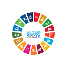 Use of this website is permitted subject to the above disclaimers. Sustainable Development Goals International Partnerships