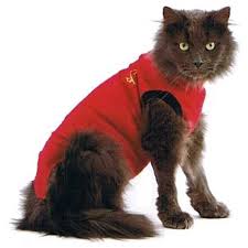 Utilisez des patrons pour les habits de poupées et adaptez les à votre chat. Medical Pet Shirt Gilet De Protection Pour Chats Mps Direct Vet