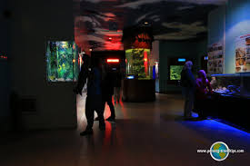 A glimpse of fascinating marine life and many others at the fisheries aquarium. Penang Aquarium Akuarium Tunku Abdul Rahman Batu Maung