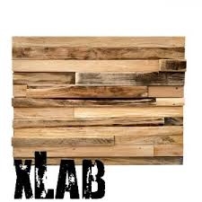 Proprio come i nostri pannelli decorativi: Decorazioni Da Parete Xlab Design