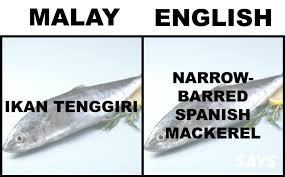 Dato rizalman masak ikan jenahak cabai hidup yang mudah yang paling penting sedap sangat. What S Ikan Patin In English Here Are 17 Translations Of Fish Malaysians Love
