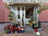 Floristería Iris - Centro Comercial Los Patios - Málaga