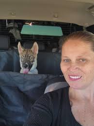 Medieval Dynasty Crest Design