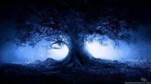 Dark Nature Wallpapers Top Free Dark Nature Backgrounds Wallpaperaccess Install nature 3d live wallpaper free!