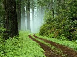 See more ideas about beautiful nature, nature, scenery. 41 Peaceful Nature Wallpaper On Wallpapersafari
