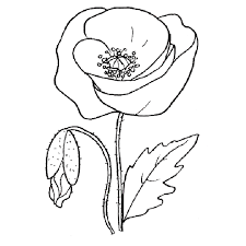 Scarica subito l'illustrazione vettoriale fiori stilizzati. 29 Disegni Fiori Da Colorare