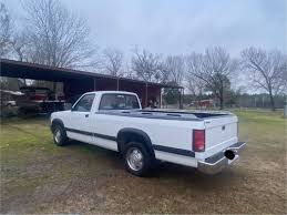 Image result for Bright White 1991 Dakota