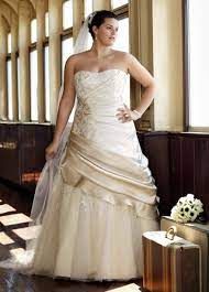 Contender 1 Davids Bridal Wedding Dresses Applique Wedding Dress Wedding Gown Preservation