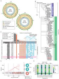 Oi meninas , hoje trago um bate papo mais sobre minha religião, e também respondo um tag pra vocês. Chloroplast Acquisition Without The Gene Transfer In Kleptoplastic Sea Slugs Plakobranchus Ocellatus Elife