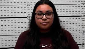 Principal Dana Simmons and PE Teacher Dylan Charles Fired After Allegedly  Having Sex At Elementary School, Charles Wife, Kelsey Reportedly Filmed  Encounters