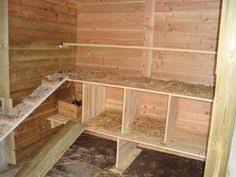 Presentation De Fab11 Amenagement Poulailler 1er Poussins Building A Chicken Coop Chicken Coop Diy Chicken Coop