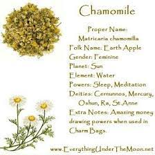 Chamomile Magic Herbs Witch Herbs Herbal Magic