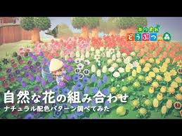 かーくんが2020年6月6日に公開した動画 あつ森 花畑や花壇を自然に見せる色の組み合わせを調べてみた あつまれどうぶつの森 どうぶつの森 花畑 花壇