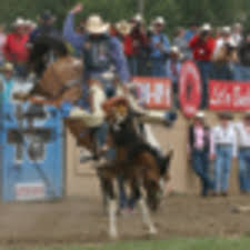 The Great Rodeo Circuits American Cowboy Western