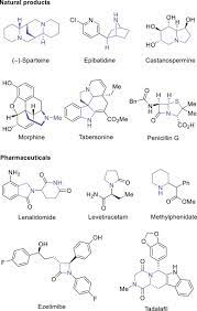 Adam's ethnicity is caucasian, whose political affiliation is currently a registered. Copper Catalysis For Saturated N Heterocycles Via C H Functionalization Sciencedirect