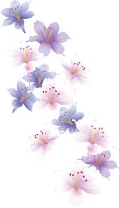 design set 2 butterflies flowers watercolour texture background watercolor wallpaper flower painting