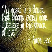 Maybe you would like to learn more about one of these? Pin By Sarah Paese On Deep Words Heart Songs Song Quotes Music Lyrics
