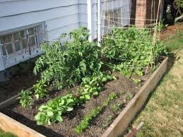 May 07, 2020 · select a location one of the first steps is to select a location for your garden. Vegetable Gardening For Beginners How To Plan Your First Patch