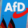 Over 1,000 German Jurists Call for AfD Party Ban Citing Democratic Threats