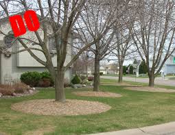 Adding topsoil over tree roots presents some problems, too. Surface Roots And Your Lawn Tomlinson Bomberger