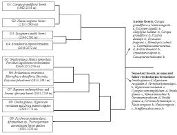 Image result for Raphidiocystis phyllocalyx