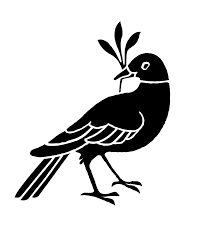 Vol. 12 No. 3 p. 48-54 Reviews