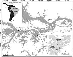 influence of plankton metabolism and mixing depth on co2