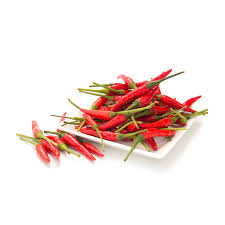 Harga sepeket utk benih ni, lebih murah dari centil. Grosir Biji Cabe Cili Padi Dari Malaysia Buy Chilli Chilli Seeds Vegetable Seeds Product On Alibaba Com