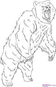 Bear coloring pages are fun and educational, as they let your kid learn about different species of bears. Pin On Party Ideas