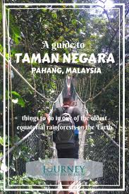 Being the only resort inside the mutiara taman negara, a perfect retreat place after your adventures trip exploring the ancient rainforest and be part all kind of outdoor activities on our. A Guide To Taman Negara Pahang Malaysia Things To Do In The Jungle