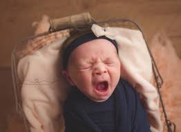 Introducing Wyatt Beatrice