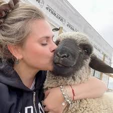 casa.veinticuatro added a new photo.