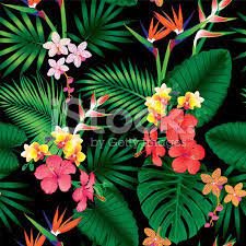 On vous offre les derniers styles, les créations à la mode, à des prix à ne pas rater! Seamless Tropical Jungle Floral Pattern With Beautiful Orchids And Jungle Tattoo Jungle Flowers Beautiful Orchids