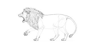 Dans ce cours de dessin gratuit, vous allez apprendre à dessiner une tete de mort très simplement en quelques étapes seulement ! Comment Dessiner Un Lion Rugissant Etape Par Etape Design Et Illustration Developpement De Sites Web Jeux Informatiques Et Applications Mobiles