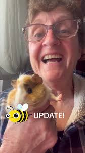 Bumblebee's Heartwarming Update: A Free Range Guinea Pig's Journey
