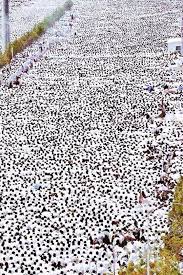 Pin On Islamic