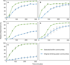 Maybe you would like to learn more about one of these? Towards A Probiotic Approach For Building Plumbing Nutrient Based Selection During Initial Biofilm Formation On Flexible Polymeric Materials Biorxiv