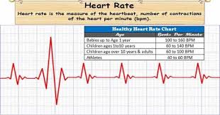 what is a heart rate or pulse rate number of time heart