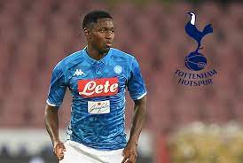 Italian Journalist Tottenham In Talks With Napoli For Guinean Midfielder