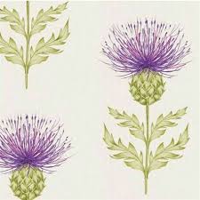 Thistle Wallpaper Several Colorways Voyage Decoration 2017 Thistles Art Thistle Tattoo Thistle Wallpaper