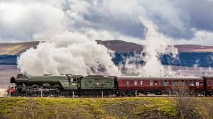 Each comes with its own set of pros ionization smoke alarms can produce false alarms due to cooking fumes or steam, while photoelectric detectors may sound off if they get dusty. Flying Scotsman Steam Sets Off London Victoria Fire Alarm Bbc News
